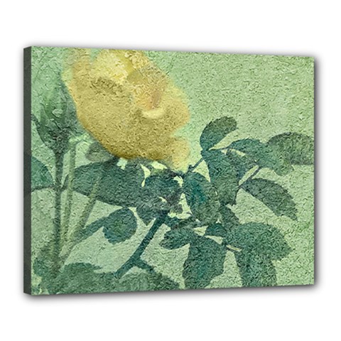 Yellow Rose Vintage Style  Canvas 20  X 16  (framed) by dflcprints