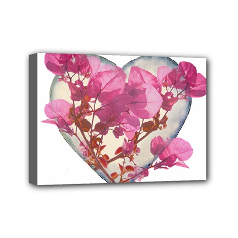 Heart Shaped With Flowers Digital Collage Mini Canvas 7  X 5  (framed) by dflcprints