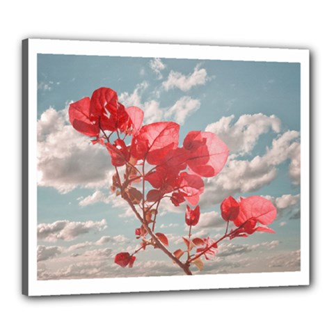 Flowers In The Sky Canvas 24  X 20  (framed) by dflcprints