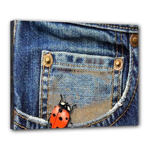 Blue Jean Lady Bug Canvas 20  x 16  (Framed)