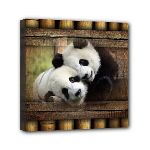 Panda Love Mini Canvas 6  X 6  (framed) by TheWowFactor