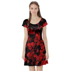 Dark Red Floral Print Short Sleeve Skater Dress by dflcprintsclothing