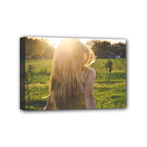 Sophia Mini Canvas 6  X 4  (framed) by boho