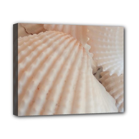 Sunny White Seashells Canvas 10  X 8  (framed) by yoursparklingshop