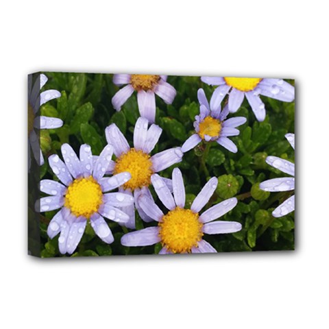 Yellow White Daisy Flowers Deluxe Canvas 18  X 12  (framed)