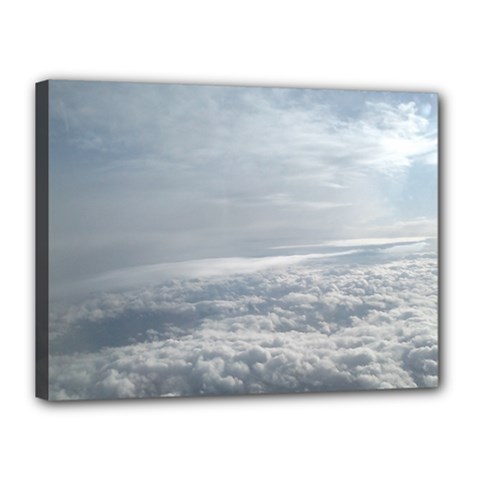 Sky Plane View Canvas 16  X 12  (framed)