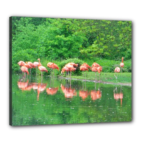 Flamingo Birds At Lake Canvas 24  X 20  (framed)