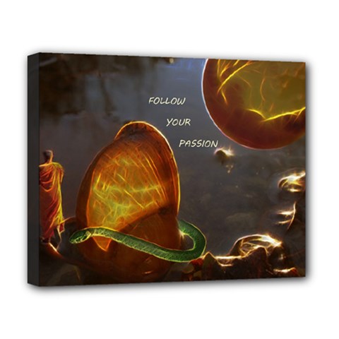 Follow Your Passion Deluxe Canvas 20  X 16  (framed) by lucia