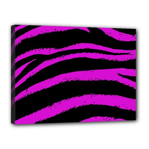 Pink Zebra Canvas 16  X 12  (framed) by ArtistRoseanneJones