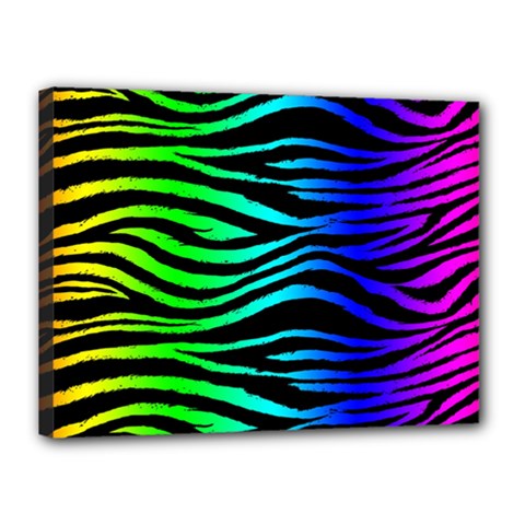 Rainbow Zebra Canvas 16  X 12  (framed) by ArtistRoseanneJones