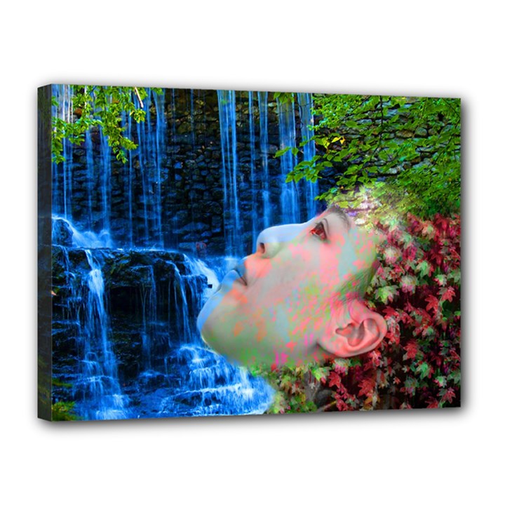 Fountain Of Youth Canvas 16  x 12  (Framed)