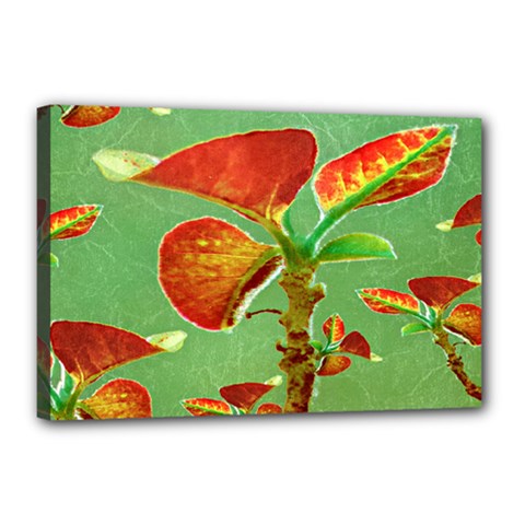 Tropical Floral Print Canvas 18  X 12  by dflcprints