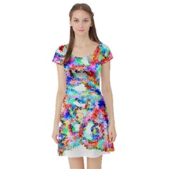 Soul Colour Light Short Sleeve Skater Dresses by InsanityExpressed