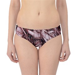 The Bleeding Tree Hipster Bikini Bottoms