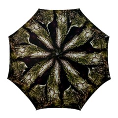 A Deeper Look Golf Umbrellas by InsanityExpressedSuperStore