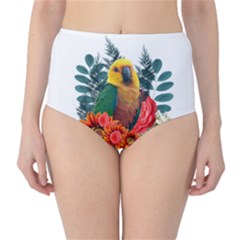 Parrot High-waist Bikini Bottoms