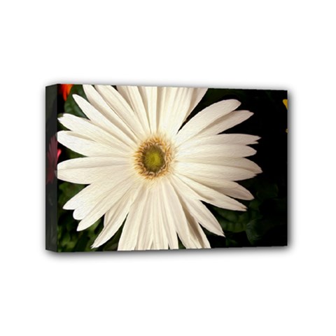 Canvases Mini Canvas 6  X 4  by infloence