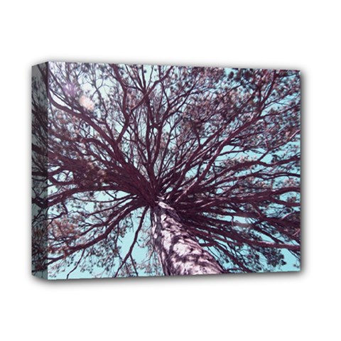 Under Tree Paint Deluxe Canvas 14  X 11  by infloence
