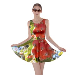 Rowan Skater Dresses by infloence