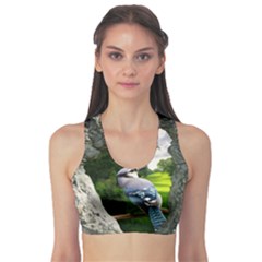 Bird In The Tree Sports Bra by infloence