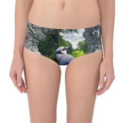 Bird In The Tree Mid-waist Bikini Bottoms by infloence