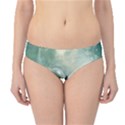 Funny Dswimming Dolphin Hipster Bikini Bottoms View1