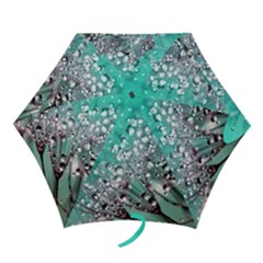 Dandelion 2015 0701 Mini Folding Umbrellas