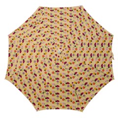 Colorful Ladybug Bess And Flowers Pattern Straight Umbrellas by GardenOfOphir