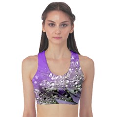 Dandelion 2015 0706 Sports Bra