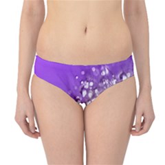 Dandelion 2015 0706 Hipster Bikini Bottoms