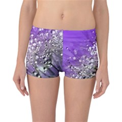 Dandelion 2015 0706 Reversible Boyleg Bikini Bottoms