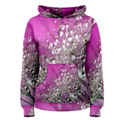 Dandelion 2015 0708 Women s Pullover Hoodies by JAMFoto