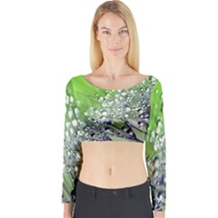 Dandelion 2015 0715 Long Sleeve Crop Top