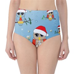 Funny, Cute Christmas Owls With Snowflakes High-waist Bikini Bottoms