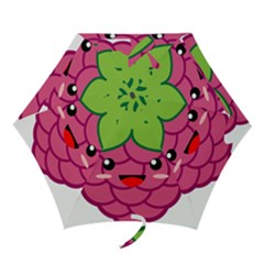 Raspberry Mini Folding Umbrellas by KawaiiKawaii