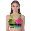 Floral Abstract 1 Sports Bra View1