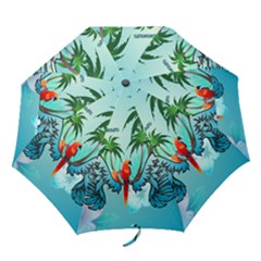 Summer Design With Cute Parrot And Palms Folding Umbrellas