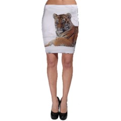 Tiger 2015 0101 Bodycon Skirts by JAMFoto