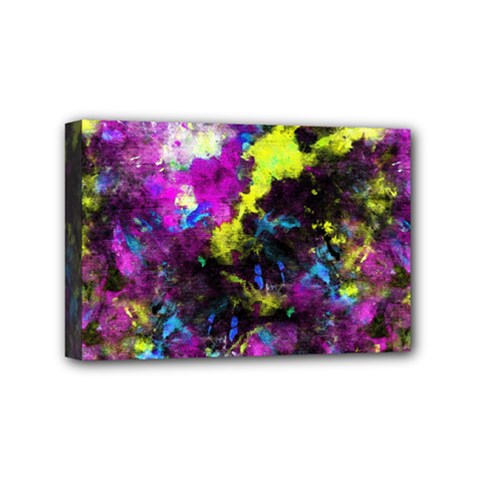 Colour Splash G264 Mini Canvas 6  X 4  by MedusArt