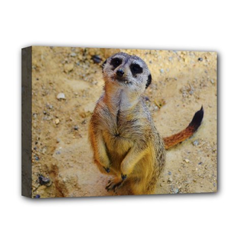 Lovely Meerkat 515p Deluxe Canvas 16  X 12  