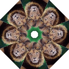 Lion Straight Umbrellas by ArtByThree