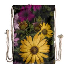 Beautiful Colourful African Daisies  Drawstring Bag (large) by OZMedia