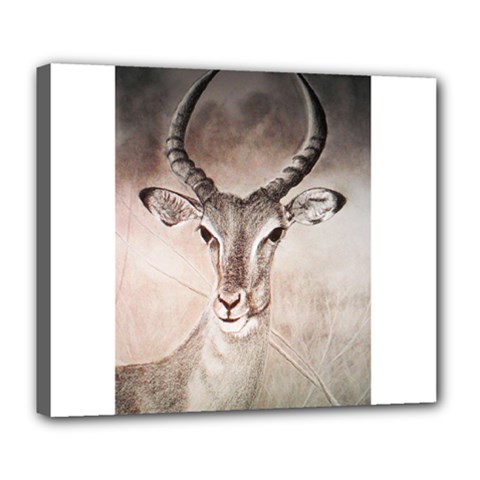 Antelope Horns Deluxe Canvas 24  X 20   by TwoFriendsGallery