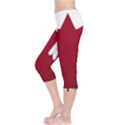 Style 9 Capri Leggings View3