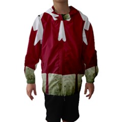 Style 9 Hooded Wind Breaker (kids) by TheGreatNorth