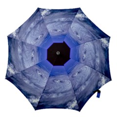 Hurricane Elena Hook Handle Umbrellas (small) by trendistuff