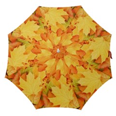 Yellow Maple Leaves Straight Umbrellas by trendistuff