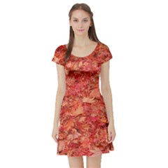 RED MAPLE LEAVES Short Sleeve Skater Dresses