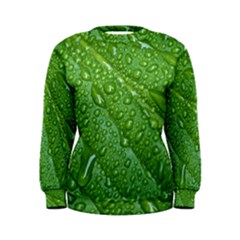 Green Leaf Drops Women s Sweatshirts by trendistuff