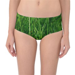 Mid-waist Bikini Bottoms